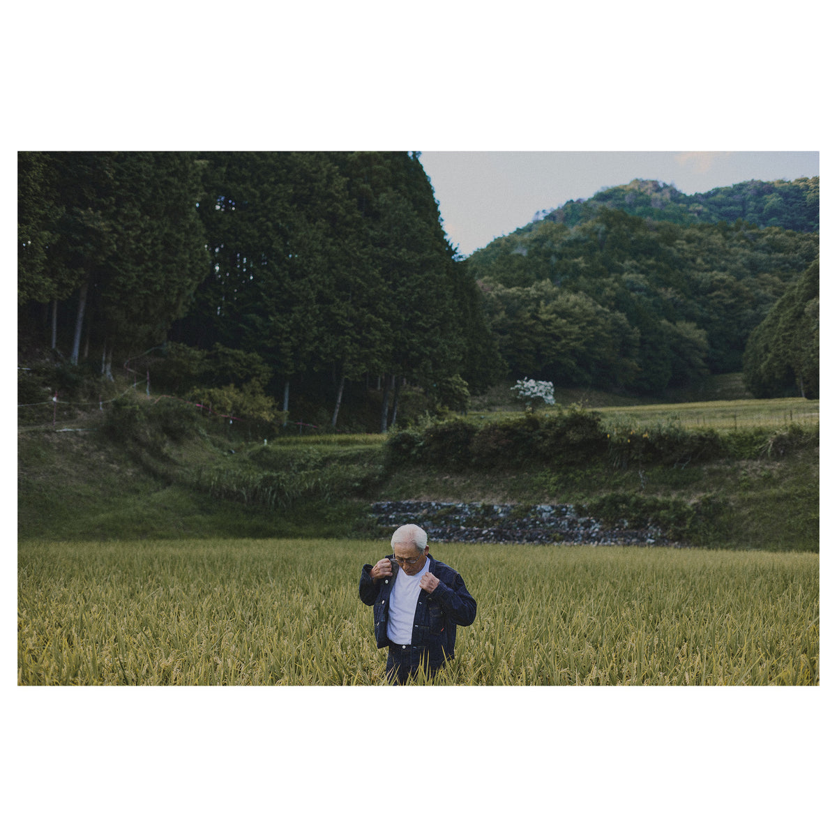 GIFT CARD【ふるさと納税】